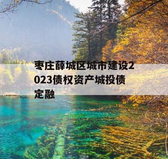 枣庄薛城区城市建设2023债权资产城投债定融