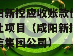 咸阳新控应收账款债权转让项目（咸阳新控控政信集团公司）