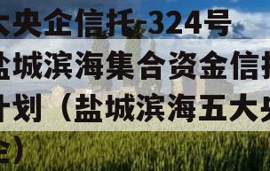 大央企信托-324号盐城滨海集合资金信托计划（盐城滨海五大央企）