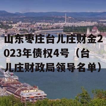 山东枣庄台儿庄财金2023年债权4号（台儿庄财政局领导名单）