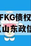 山东TFKG债权资产项目（山东政信债券）