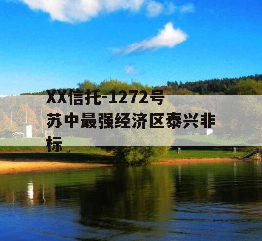 XX信托-1272号苏中最强经济区泰兴非标