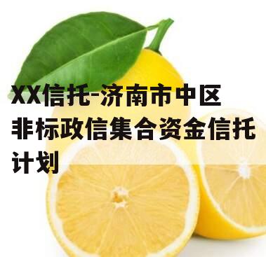 XX信托-济南市中区非标政信集合资金信托计划