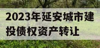 2023年延安城市建投债权资产转让