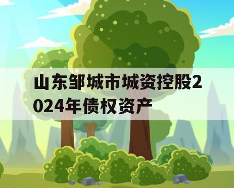 山东邹城市城资控股2024年债权资产