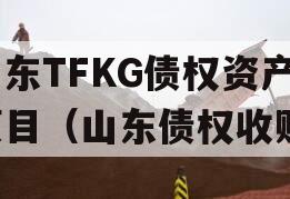 山东TFKG债权资产项目（山东债权收购）