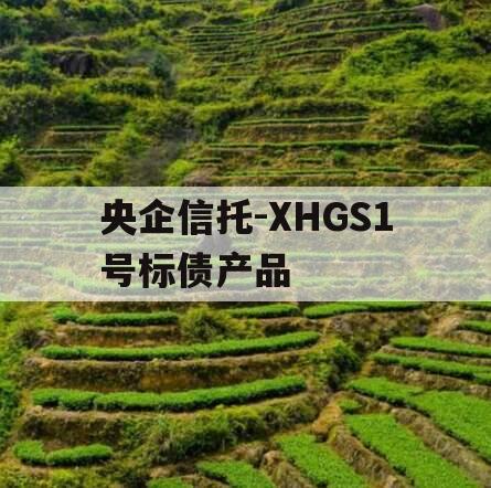 央企信托-XHGS1号标债产品