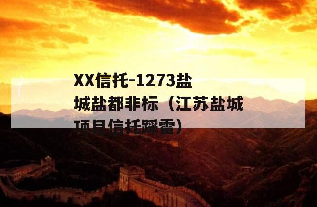 XX信托-1273盐城盐都非标（江苏盐城项目信托踩雷）