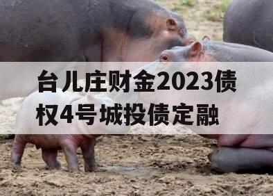 台儿庄财金2023债权4号城投债定融