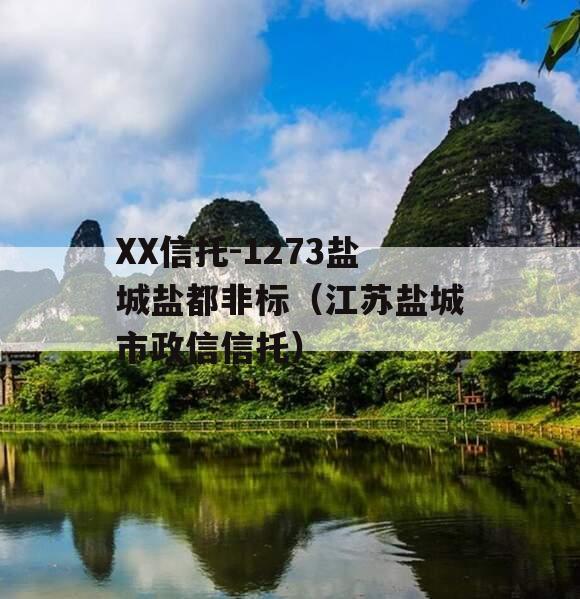 XX信托-1273盐城盐都非标（江苏盐城市政信信托）