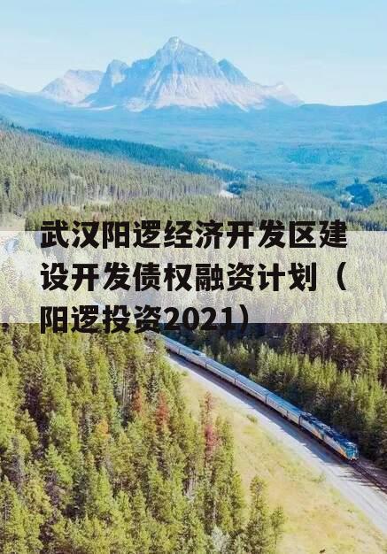 武汉阳逻经济开发区建设开发债权融资计划（阳逻投资2021）