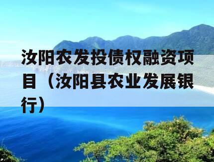 汝阳农发投债权融资项目（汝阳县农业发展银行）