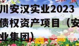 四川安汉实业2023年债权资产项目（安汉实业集团）