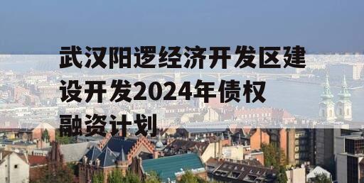 武汉阳逻经济开发区建设开发2024年债权融资计划