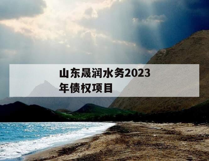 山东晟润水务2023年债权项目