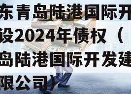 山东青岛陆港国际开发建设2024年债权（青岛陆港国际开发建设有限公司）