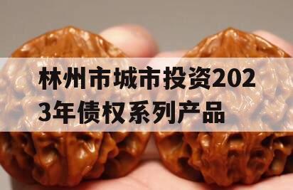 林州市城市投资2023年债权系列产品