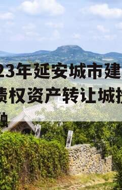 2023年延安城市建投债权资产转让城投债定融