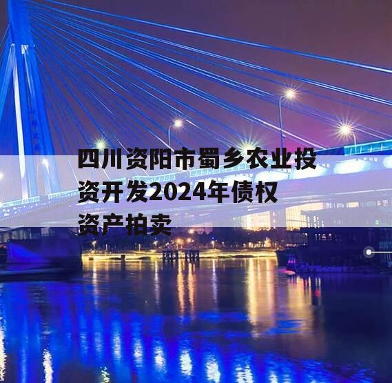 四川资阳市蜀乡农业投资开发2024年债权资产拍卖