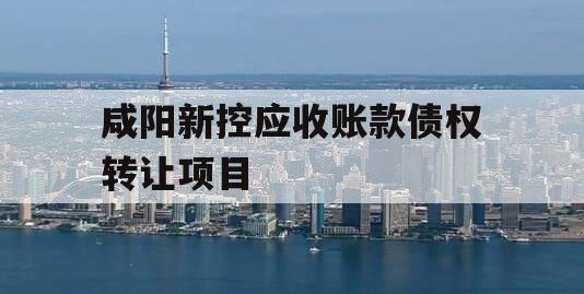 咸阳新控应收账款债权转让项目