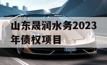 山东晟润水务2023年债权项目