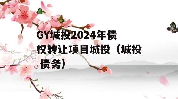 GY城投2024年债权转让项目城投（城投 债务）