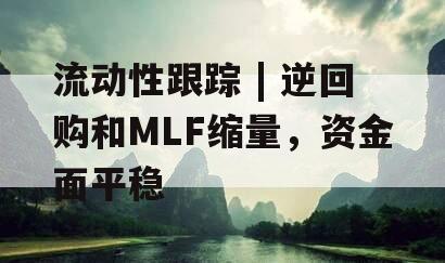 流动性跟踪 | 逆回购和MLF缩量，资金面平稳