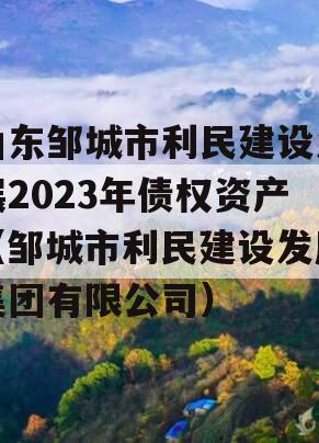 山东邹城市利民建设发展2023年债权资产（邹城市利民建设发展集团有限公司）