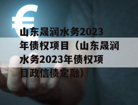 山东晟润水务2023年债权项目（山东晟润水务2023年债权项目政信债定融）