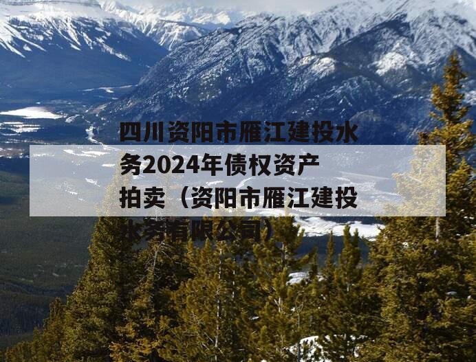 四川资阳市雁江建投水务2024年债权资产拍卖（资阳市雁江建投水务有限公司）