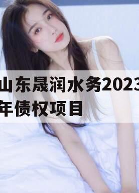 山东晟润水务2023年债权项目