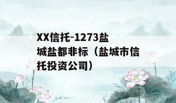 XX信托-1273盐城盐都非标（盐城市信托投资公司）