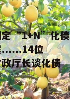 制定“1+N”化债方案......14位财政厅长谈化债