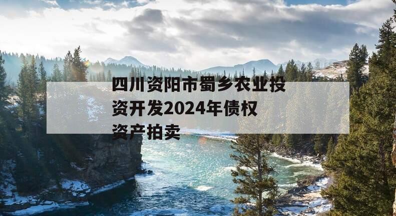 四川资阳市蜀乡农业投资开发2024年债权资产拍卖