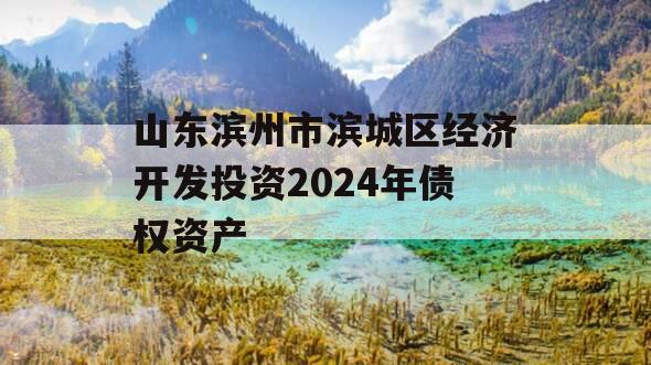 山东滨州市滨城区经济开发投资2024年债权资产