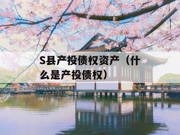 S县产投债权资产（什么是产投债权）