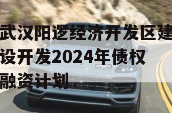 武汉阳逻经济开发区建设开发2024年债权融资计划