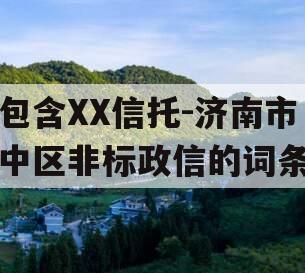 包含XX信托-济南市中区非标政信的词条