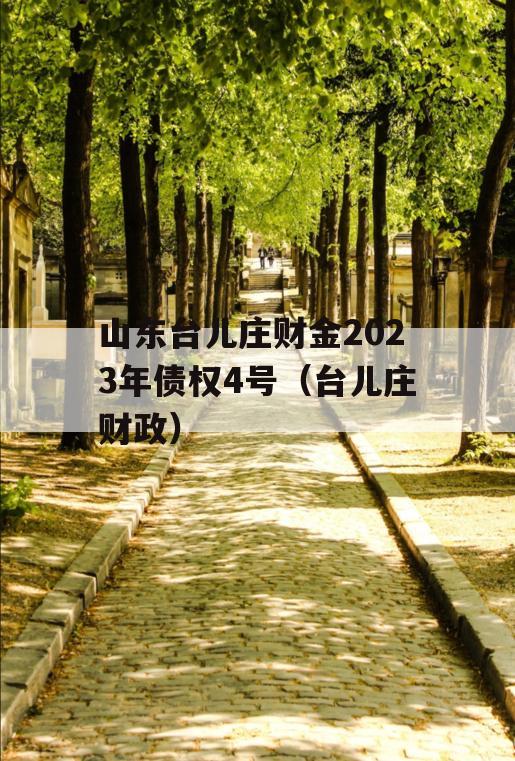 山东台儿庄财金2023年债权4号（台儿庄财政）