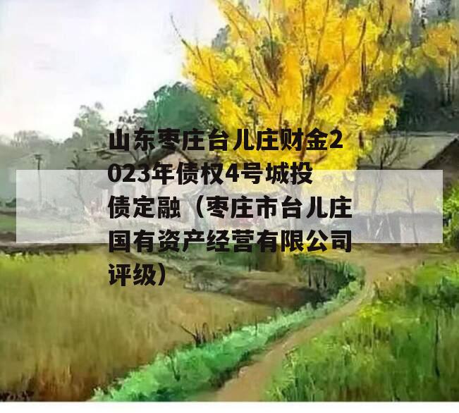 山东枣庄台儿庄财金2023年债权4号城投债定融（枣庄市台儿庄国有资产经营有限公司评级）