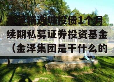 金泽精选城投债1个月续期私募证券投资基金（金泽集团是干什么的）