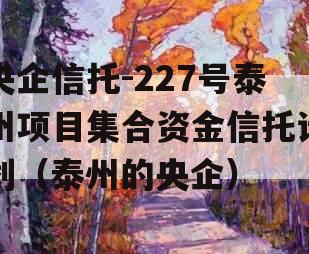 央企信托-227号泰州项目集合资金信托计划（泰州的央企）