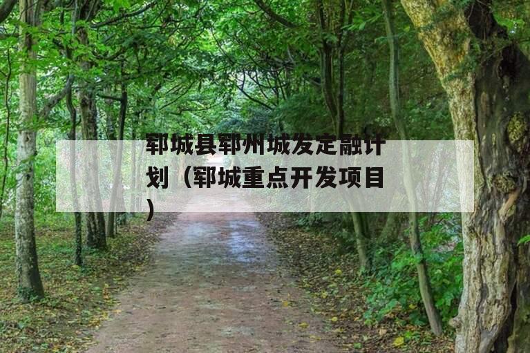 郓城县郓州城发定融计划（郓城重点开发项目）