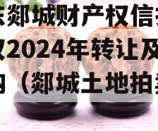 山东郯城财产权信托受益权2024年转让及回购（郯城土地拍卖公告）