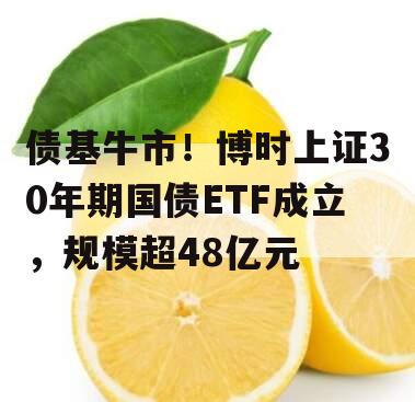 债基牛市！博时上证30年期国债ETF成立，规模超48亿元