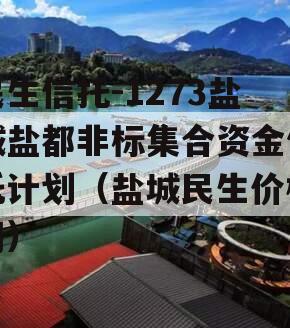 民生信托-1273盐城盐都非标集合资金信托计划（盐城民生价格网）