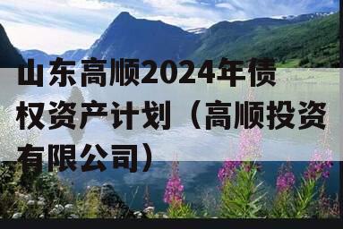 山东高顺2024年债权资产计划（高顺投资有限公司）