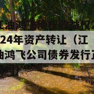 江油鸿飞债权收益权2024年资产转让（江油鸿飞公司债券发行正规吗）