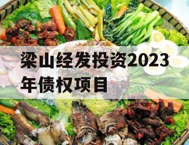 梁山经发投资2023年债权项目