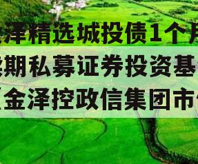 金泽精选城投债1个月续期私募证券投资基金（金泽控政信集团市值）